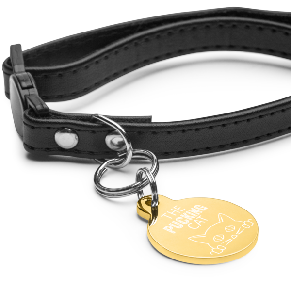 engraved-pet-id-tag-gold-front-630516369288c.png