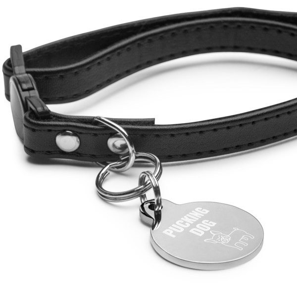 engraved-pet-id-tag-silver-front-630515fc51594.png